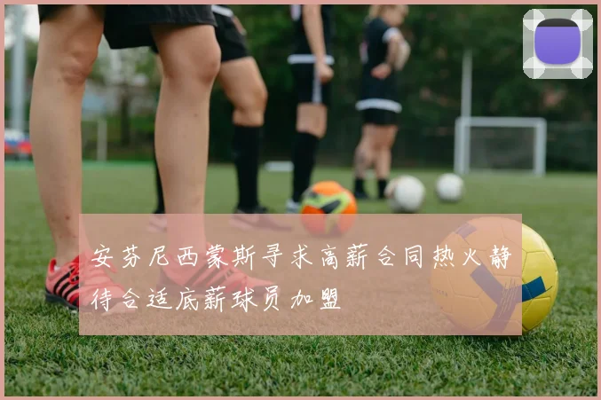 安芬尼西蒙斯寻求高薪合同热火静待合适底薪球员加盟